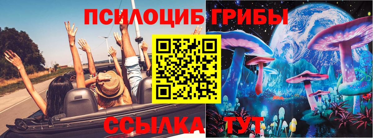 Псилоцибиновые грибы прущие грибы  Вход с VPN  Светлоград 