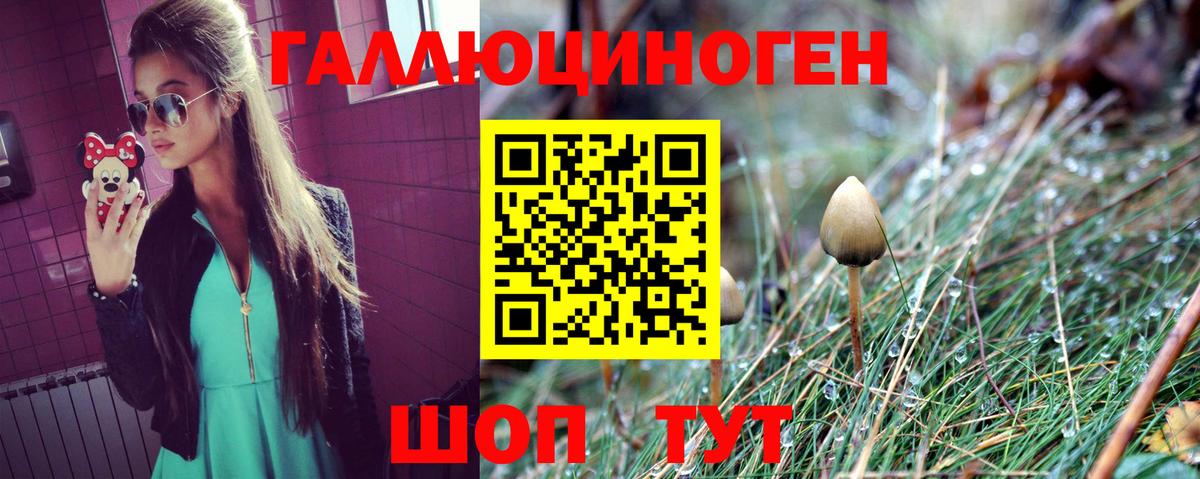 Псилоцибиновые грибы ЛСД Светлоград